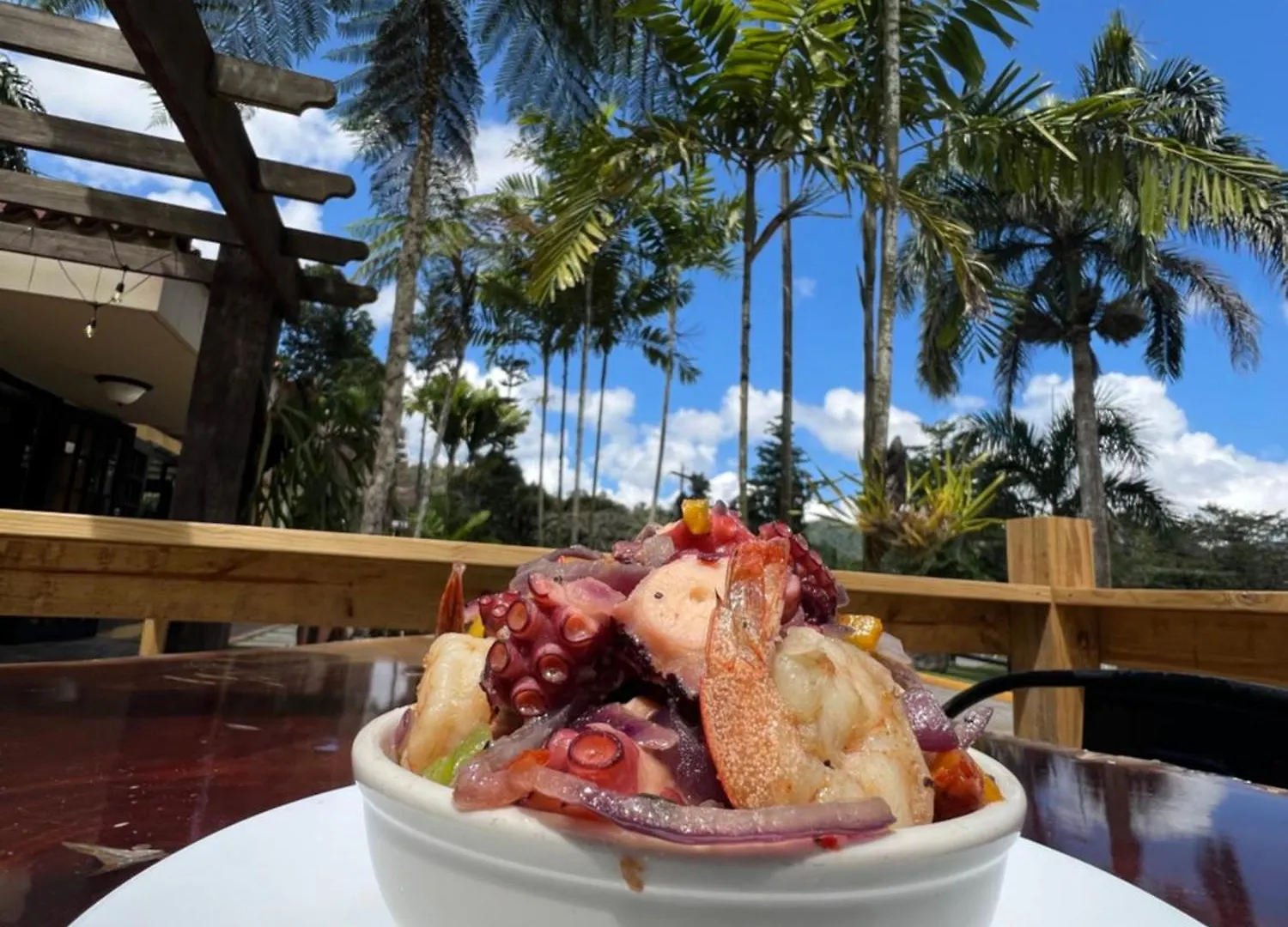 Hacienda Villa Sotomayor Adjuntas