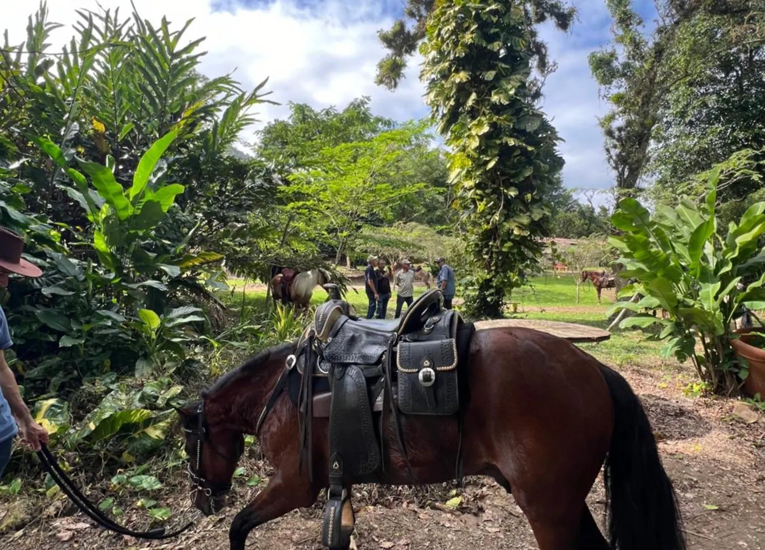 Hacienda Villa Sotomayor Adjuntas Puerto Rico