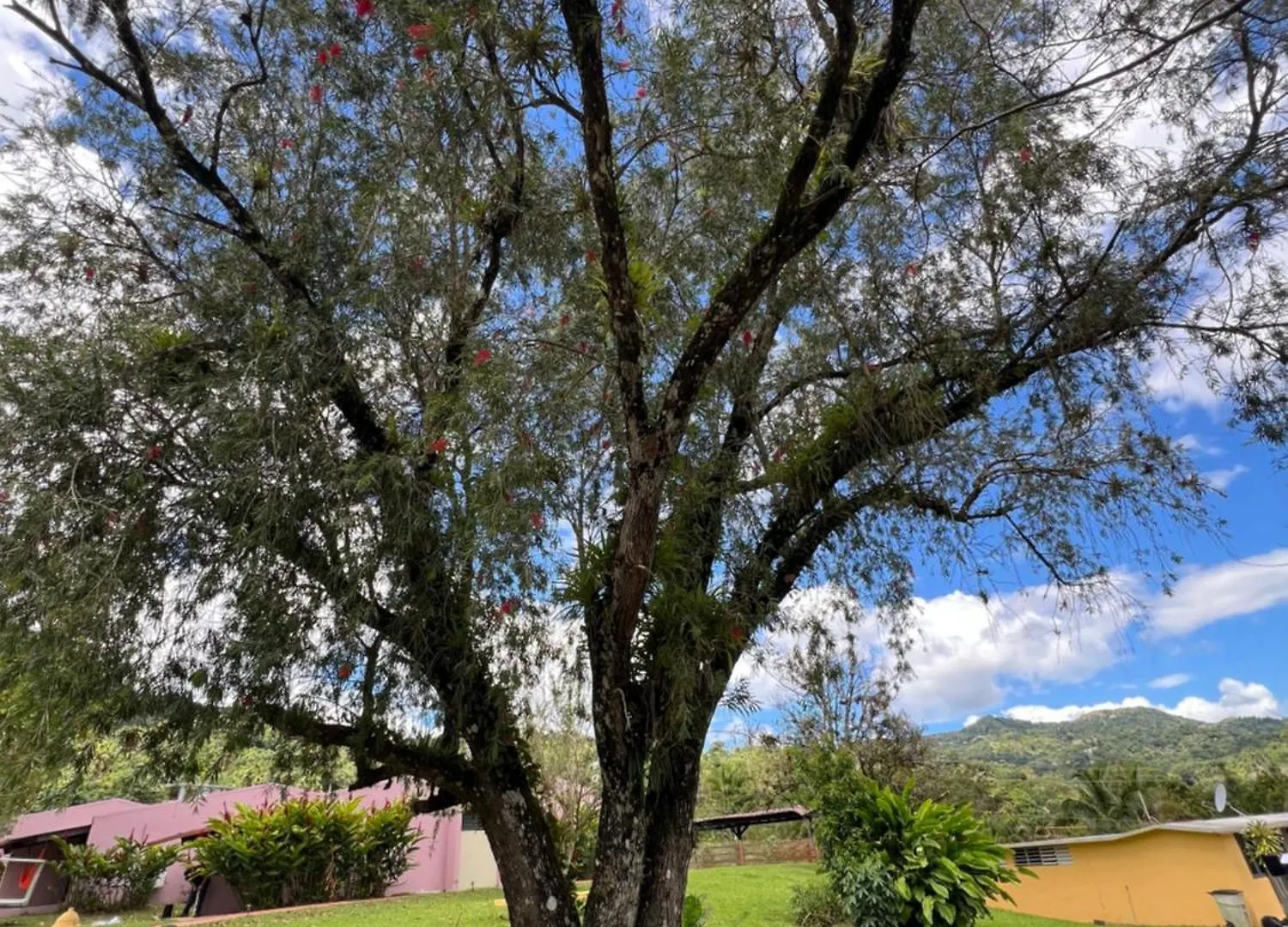 Hacienda Villa Sotomayor Adjuntas