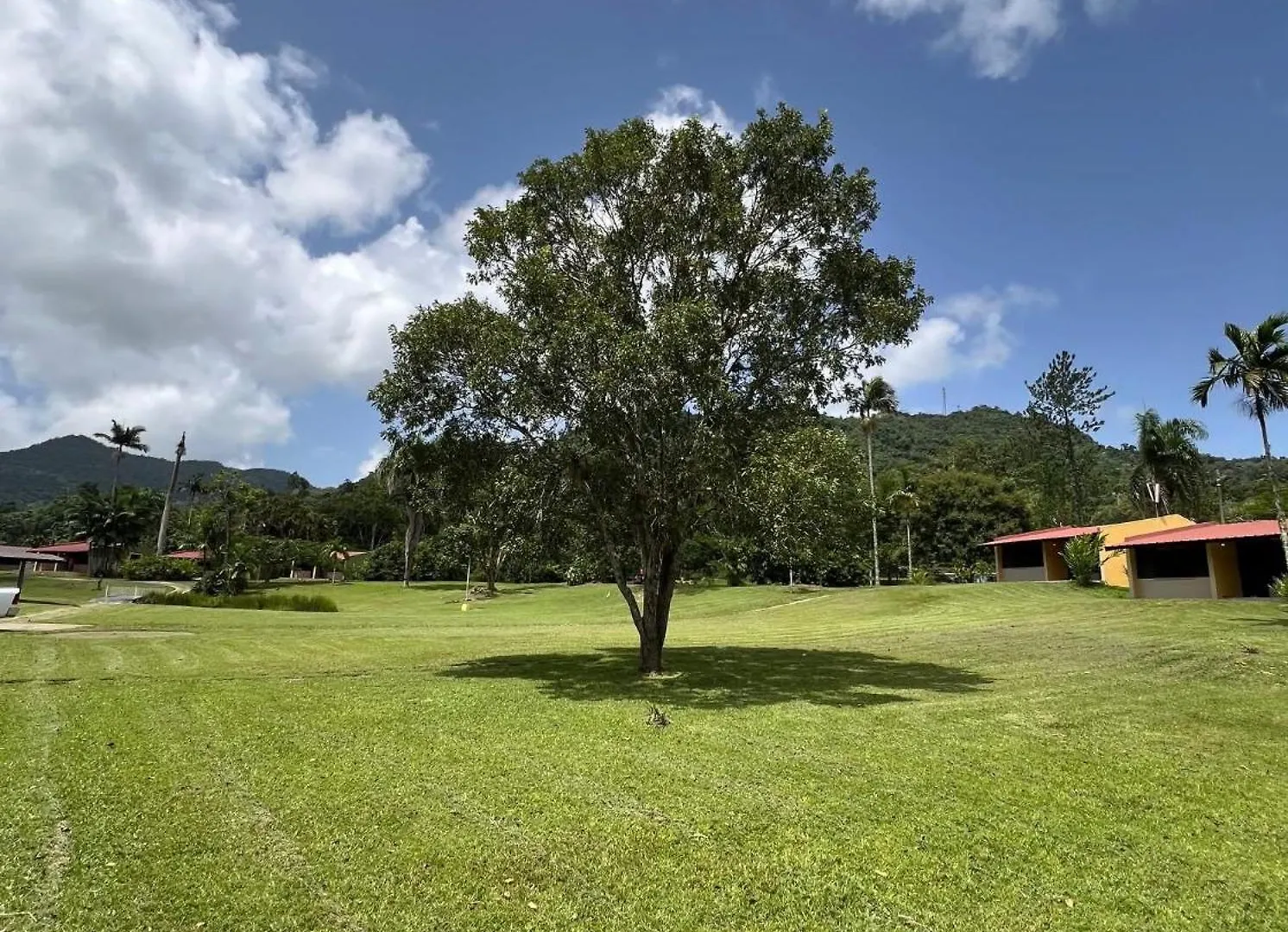 ***** Hotel Hacienda Villa Sotomayor Adjuntas Puerto Rico